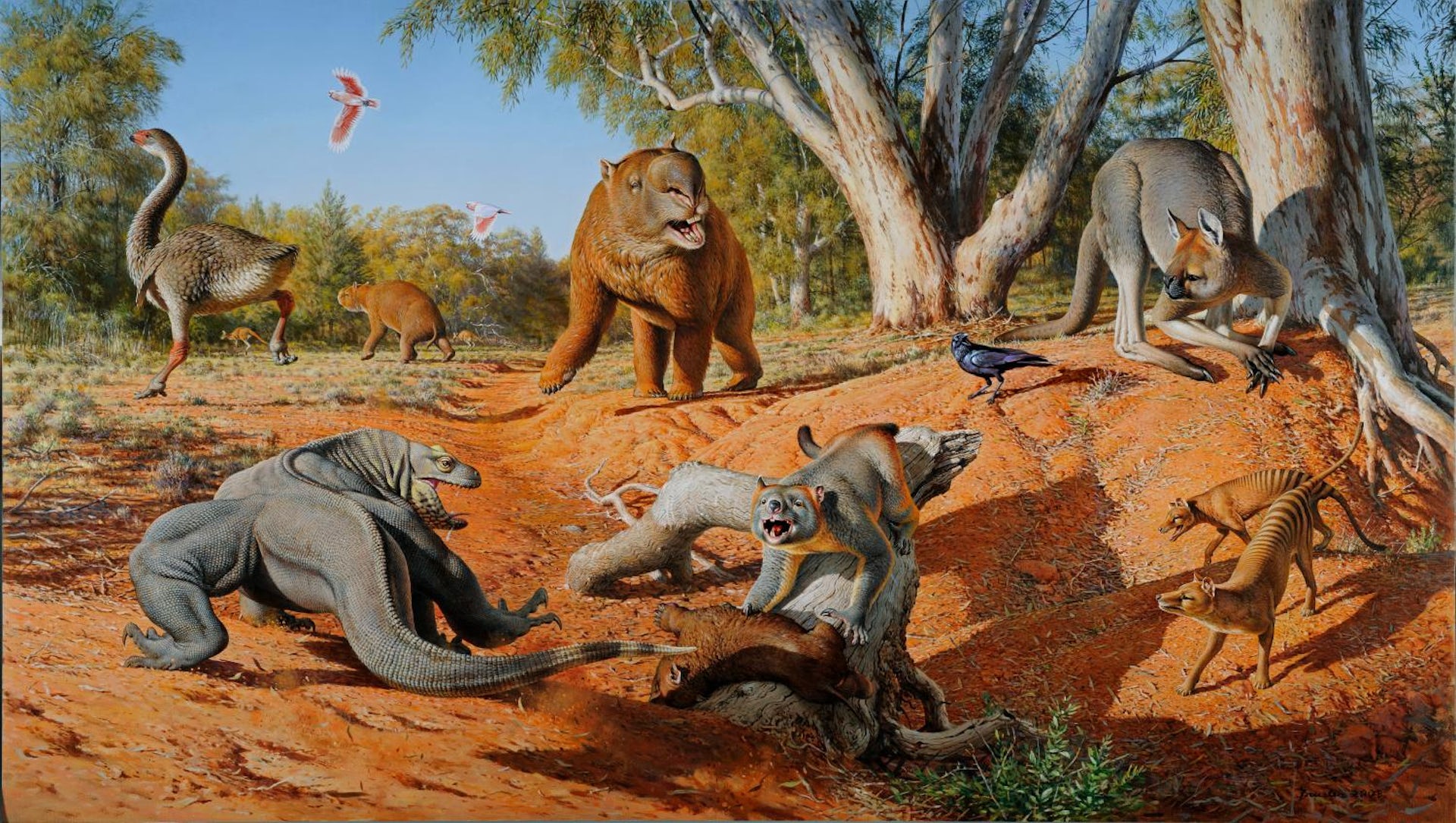 Reconstructii ale megafaunei comune australiene intr-un cadru de tufis deschis